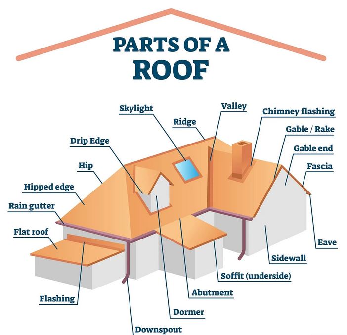 parts of a roof anatomy